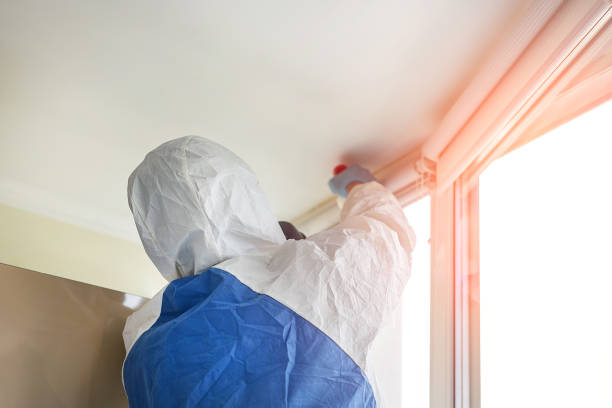 Best Residential Mold Inspection & Testing  in Mesquite, TX